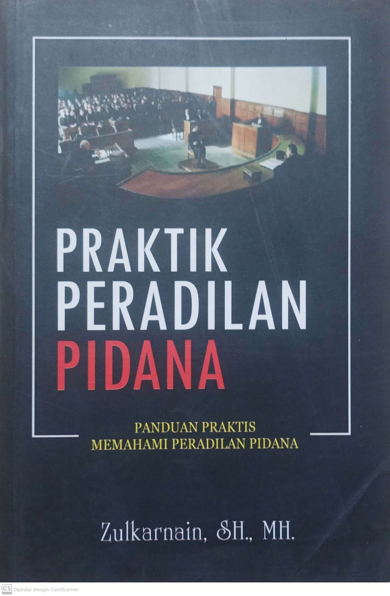 Cover Praktik peradilan pidana : panduan praktis memahami peradilan pidana